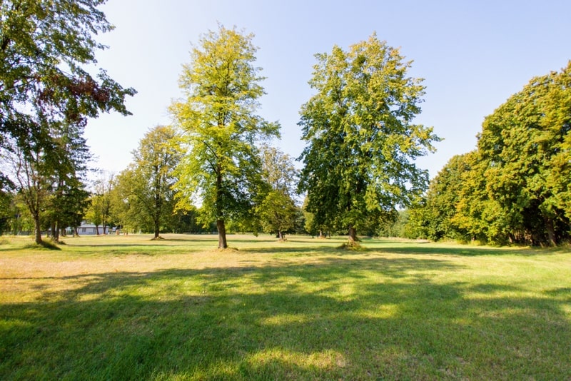 krajna-park-szelesty-festival-5