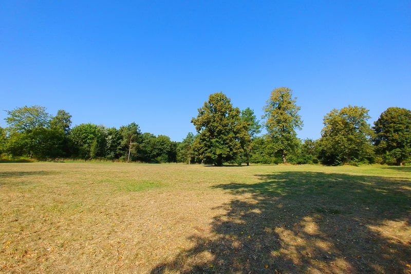 krajna-park-szelesty-festival-6