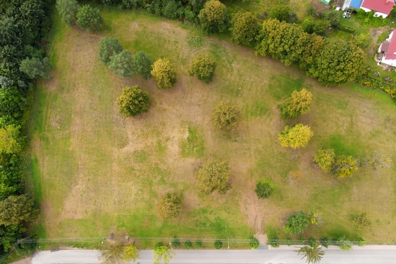 krajna-park-szelesty-festival-8