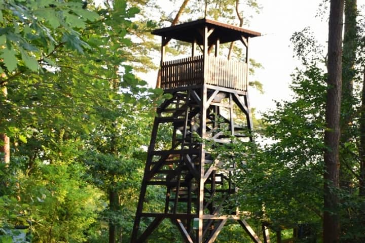 wieża-widokowa-Krajna-Park-Sepolno-Krajenskie